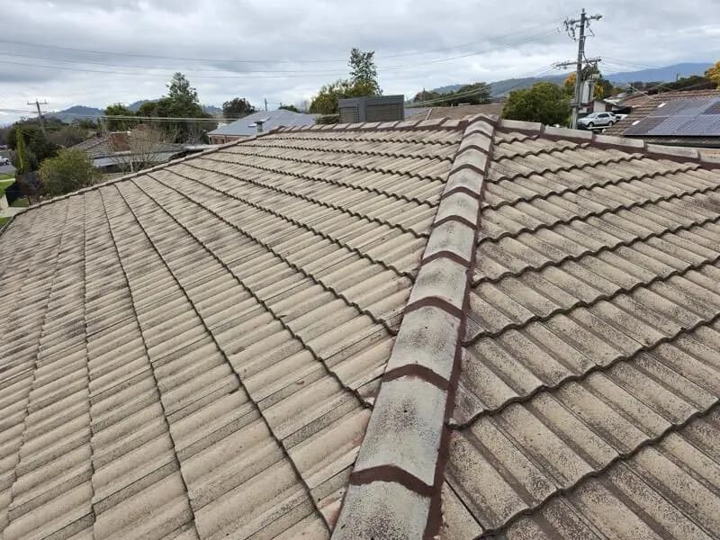 A tile roof with fresh ridge capping bedded and pointed along the full length of the ridge